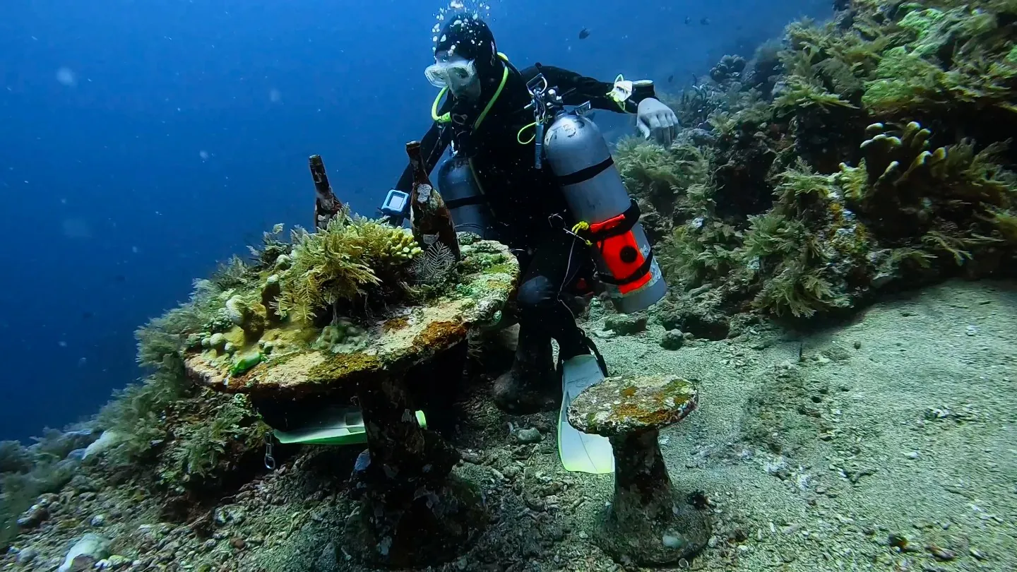 Sidemount-Taucher neben einem versunkenen Tisch, bedeckt mit Algen und Korallen